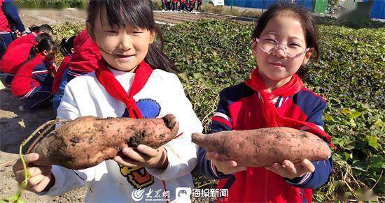 寿光市文家街道马店小学：田间地头“小菜园”，全面育人“大文章”  五年级作文 第1张