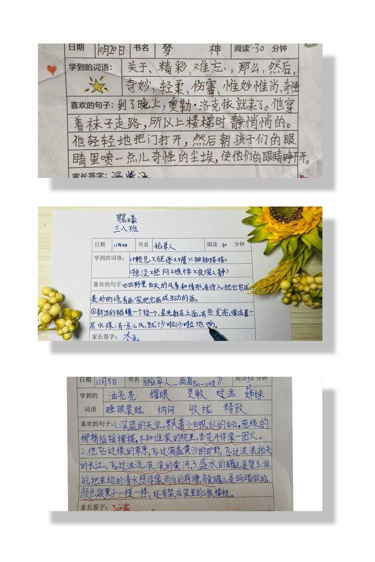 色彩斑斓,内容充实的阅读记录卡,一双双小手绘制的精美的读书卡片,使
