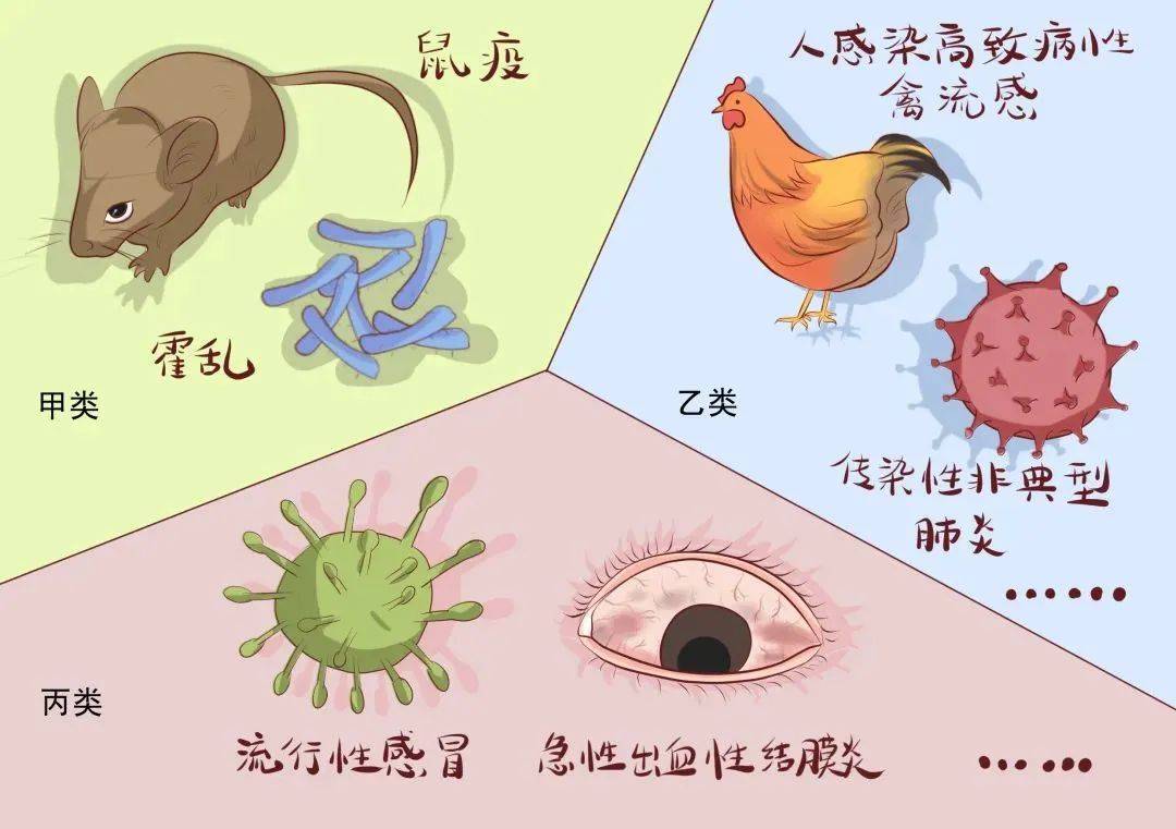 传染病防治法》第三条规定：“本法规定的传染病分为甲类、乙类和丙类。