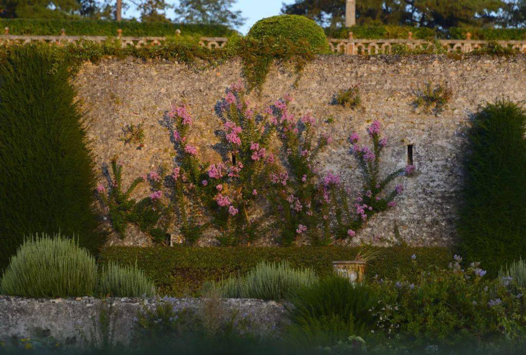 浴火重生的斑斓 | Château de Valmer 瓦尔默城堡花园