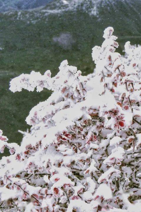 去滑雪,堆雪人,打雪仗.再去"冰雪童萌