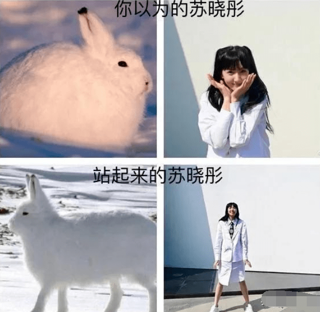 原创看脸1米5，看腿1米7，这8位“脸矮身高”的女星太意外！