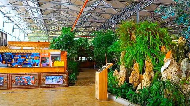 原创
  从武汉蔡甸出发，随拍一座建在景点里的生态餐厅，环境像热带雨林 第2张