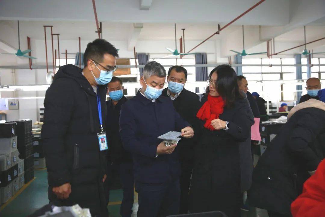 陈跃文一行先后深入展翔绿色农业有限公司,骏涛实业有限公司,恒维电子