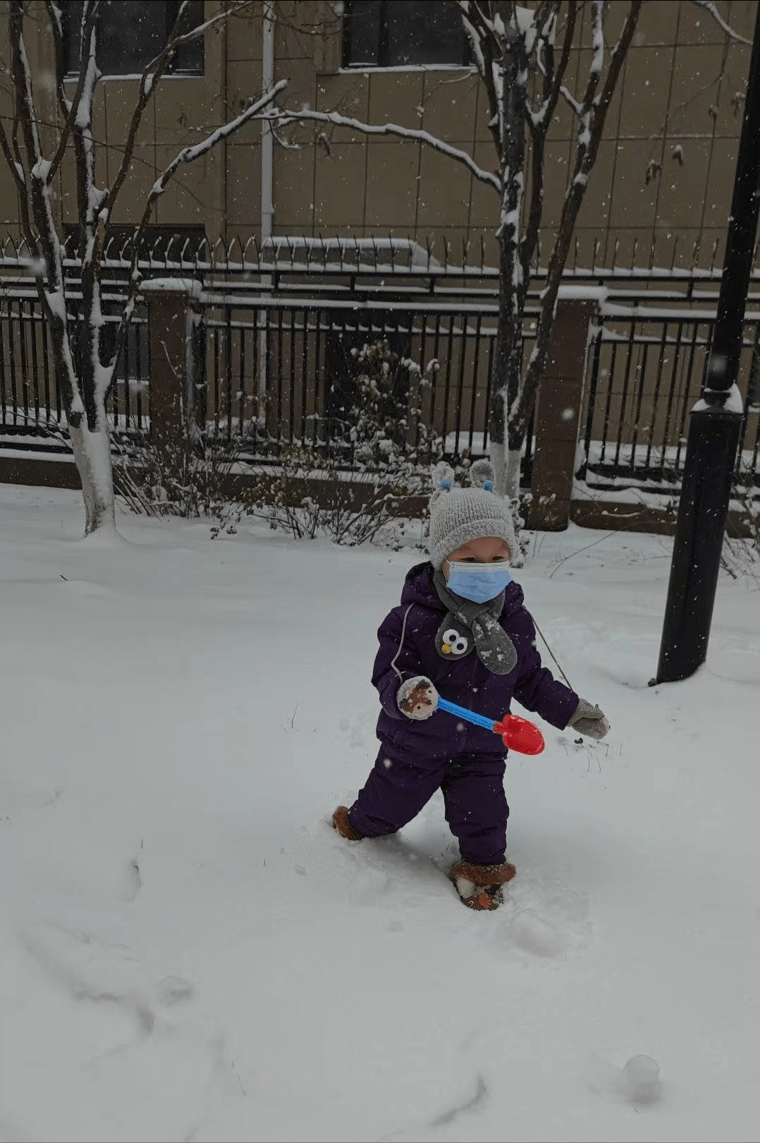 诗歌｜姥姥的大雪日记  日记 第3张