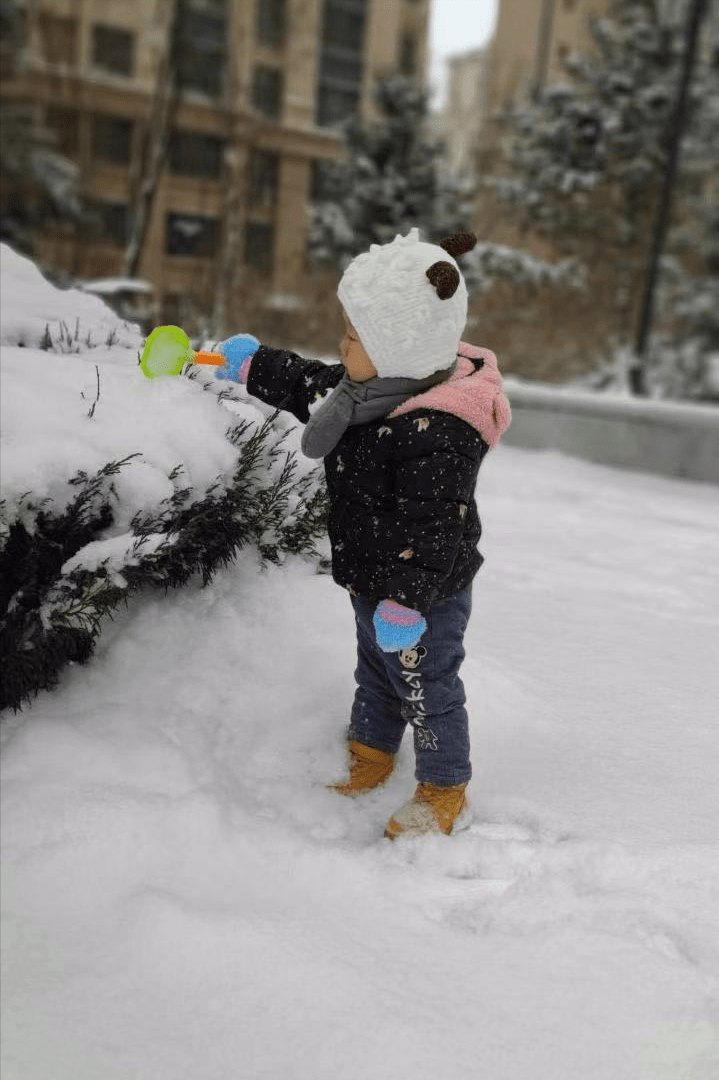 诗歌｜姥姥的大雪日记  日记 第4张