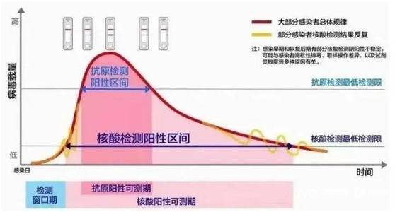 也就是说,有时候你觉得自己已经好了,抗原转阴了,但核酸还是阳性的