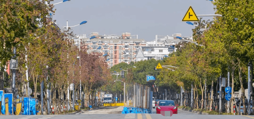 (沪南公路—新环南路)