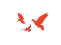 内蒙古新闻联播 | 呼伦贝尔：青年创业有信心更安心