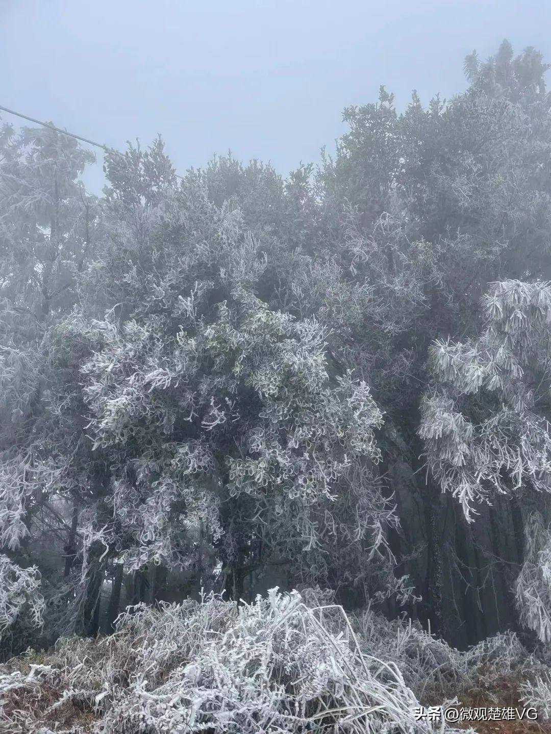 下雪啦！楚雄州多地迎来降雪