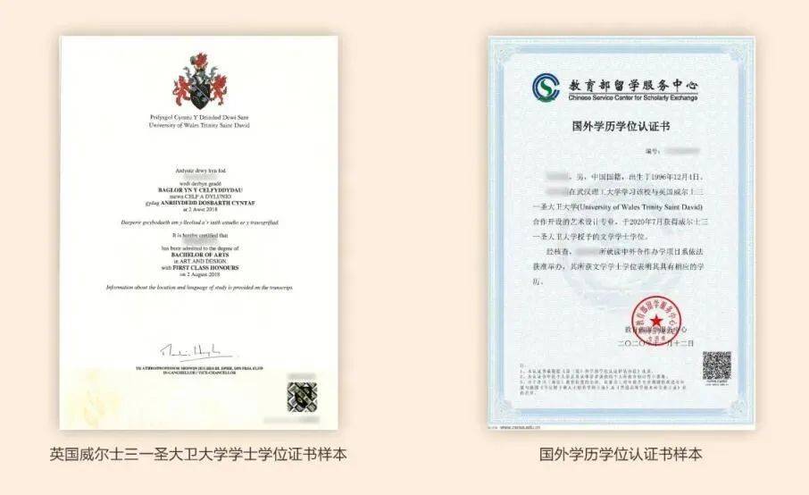 得英国威尔士三一圣大卫大学艺术设计文学学士学位证书，国家承认学历。