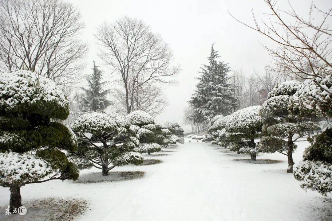 描写雪景的唯美古诗句,美到心碎的诗词佳句_白雪_积雪_雪花