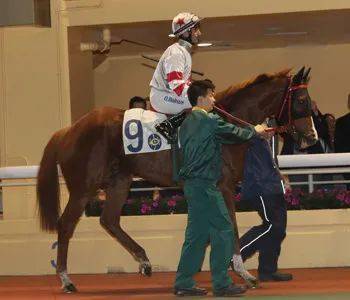 ���̨�����������к�