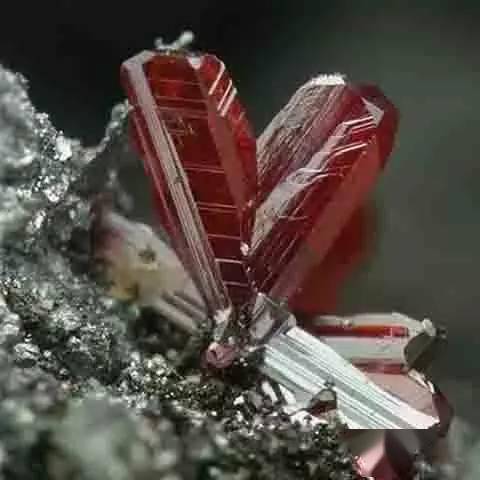 ʯͷ