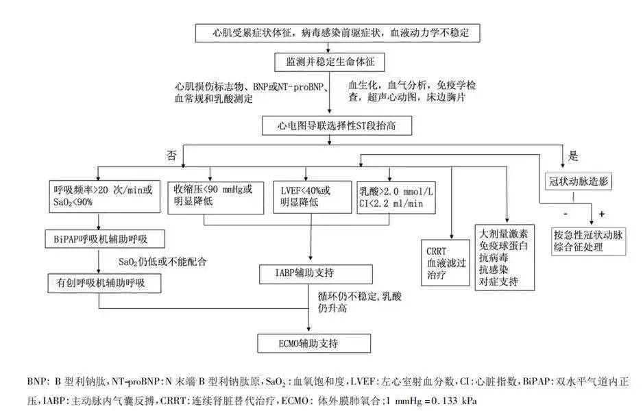 清华长庚：新冠感染相关性心肌炎诊治建议