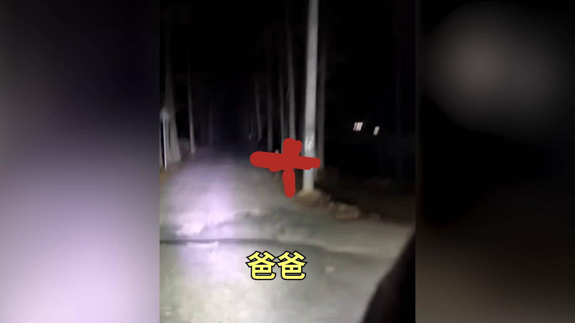 男子深夜返乡儿子在小道飞奔迎接：很惊讶，路上车很多他能一眼认出-频道-手机搜狐