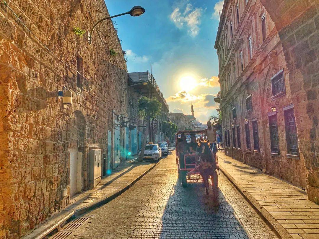 6��13��Ӧ��֮��Ү·����-��ɫ��Լ���Լ�֮��