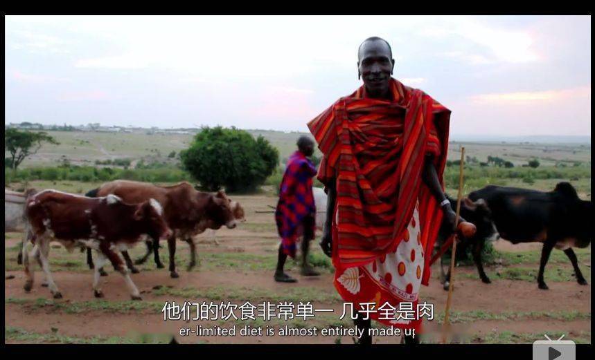 BBC纪录片清点全球最不安康的饮食体例, 中国人中了好多箭……那说的是你吗？