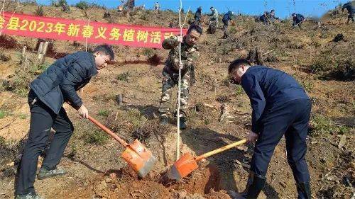 新春添新绿 | 江西各地开展新春义务植树活动