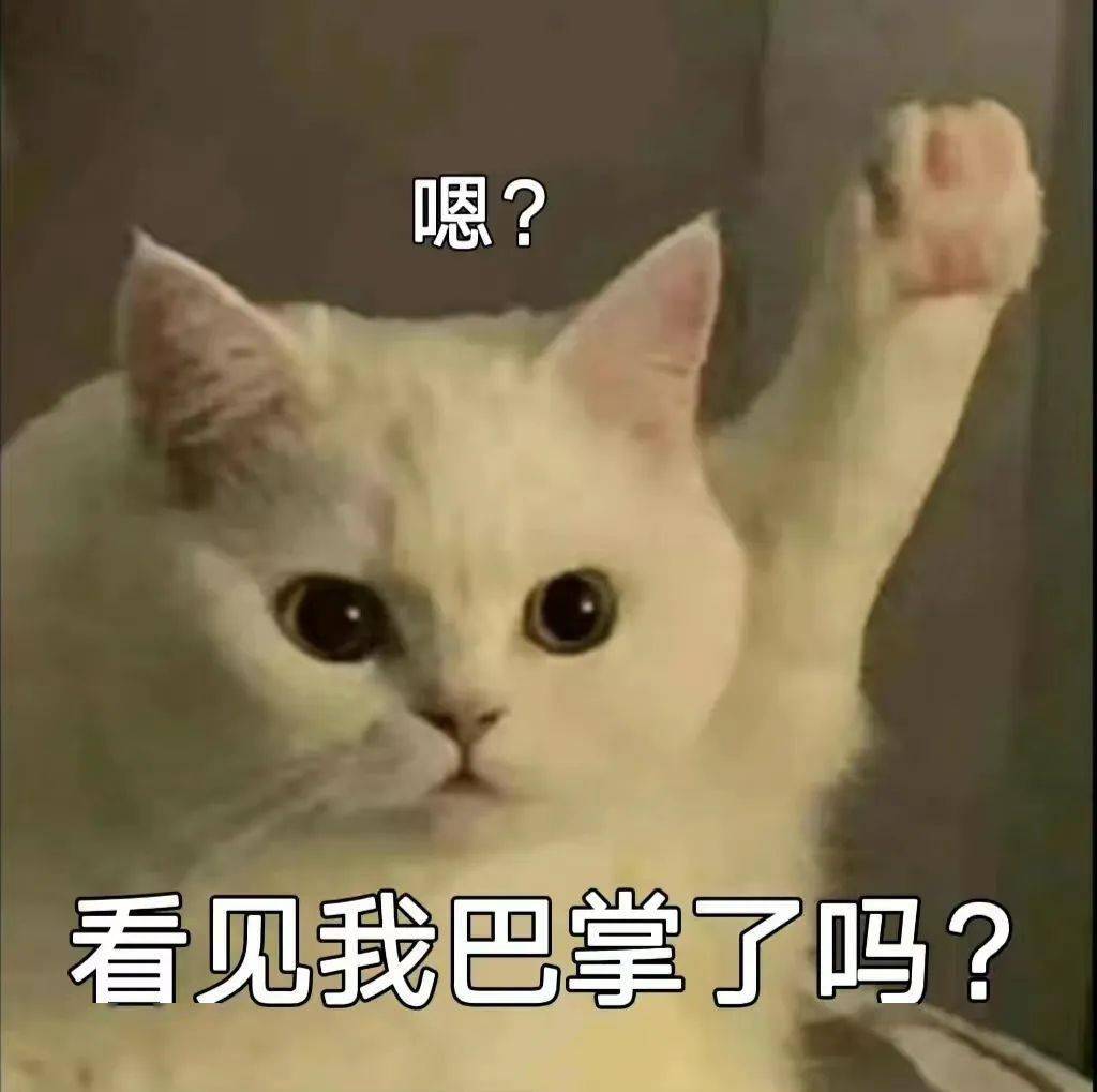 上海徐家汇也有裸眼3D胖橘猫啦？看完我缄默了，觉得还不如家里的投屏