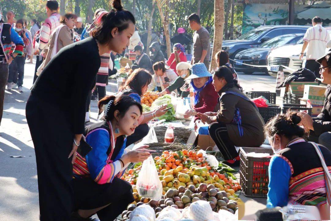 过节去！基诺盗窟“特懋克”节庆活动正在停止