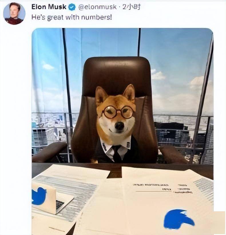 原标题：推特新CEO是条狗？马斯克搞“大活”，网友：攻击不大，侮辱极强