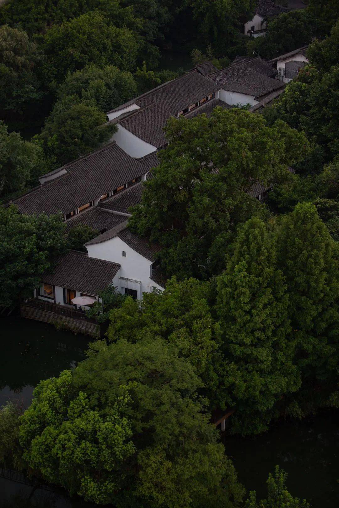 接下来的杭州堪称国内旅游浪漫天花板，景区免费游，错过不再有！