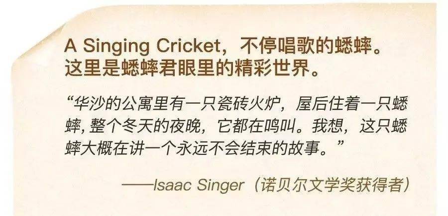 Cricket蟋蟀英文原版分级杂志，让百年典范陪同孩子长大