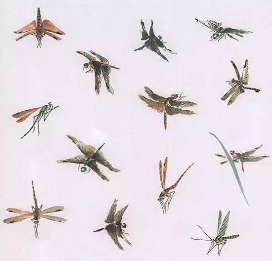 【图文教程】国画昆虫技法:蜻蜓 蝴蝶