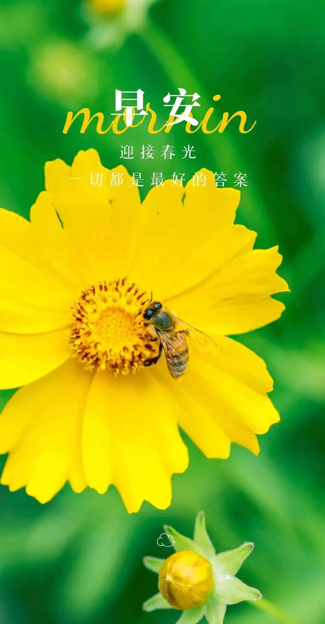 正能量吃2月27日早安正能量唯美语录句子：​好好吃饭按时睡觉；不要抱怨心怀善念；坚持做自己喜欢做的事