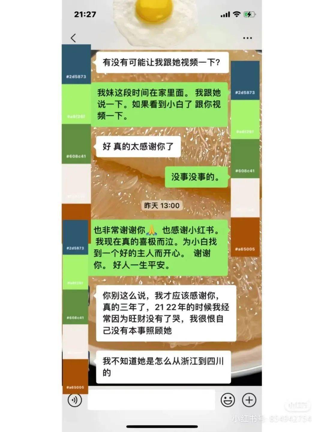 浙江网友偶尔刷到四川小流离，竟找到了本身丧失两年的狗！