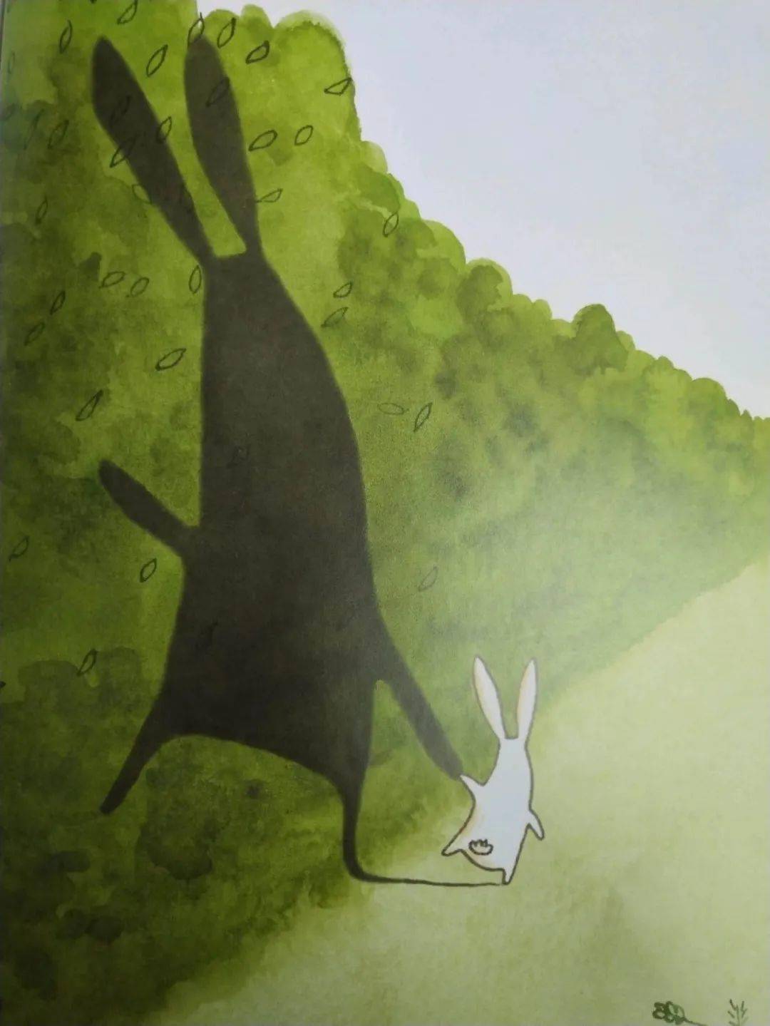 ����28ֻ������ʶ��ĺ���