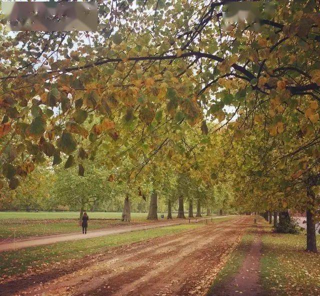 ���׶ظ�������������У���������