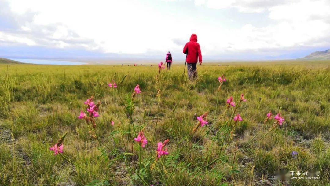 ����Ȳ쿴��������Ŀ�Ĳ���ѧ��һ��ѧ�ʣ�����ѧ������ ...