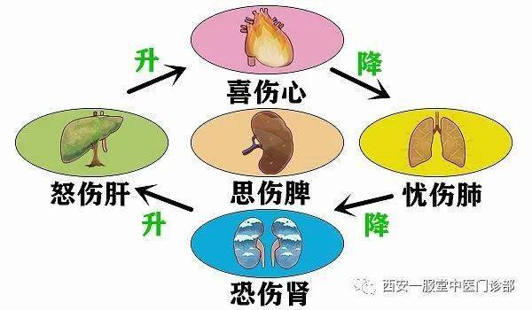 中医科普2326：喜、怒、忧、思、悲、恐、惊七情致病，均为内伤杂症。