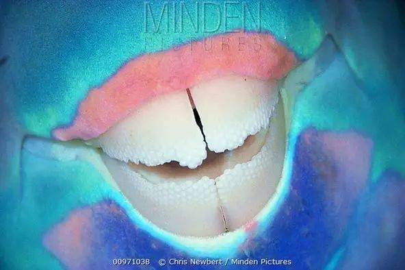 ��֪��������������ϸ��ɳ̲����ʵ���㡾��㡿��