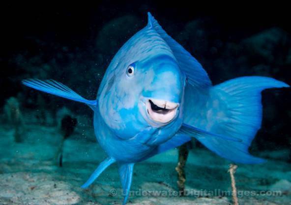 ��֪��������������ϸ��ɳ̲����ʵ���㡾��㡿��