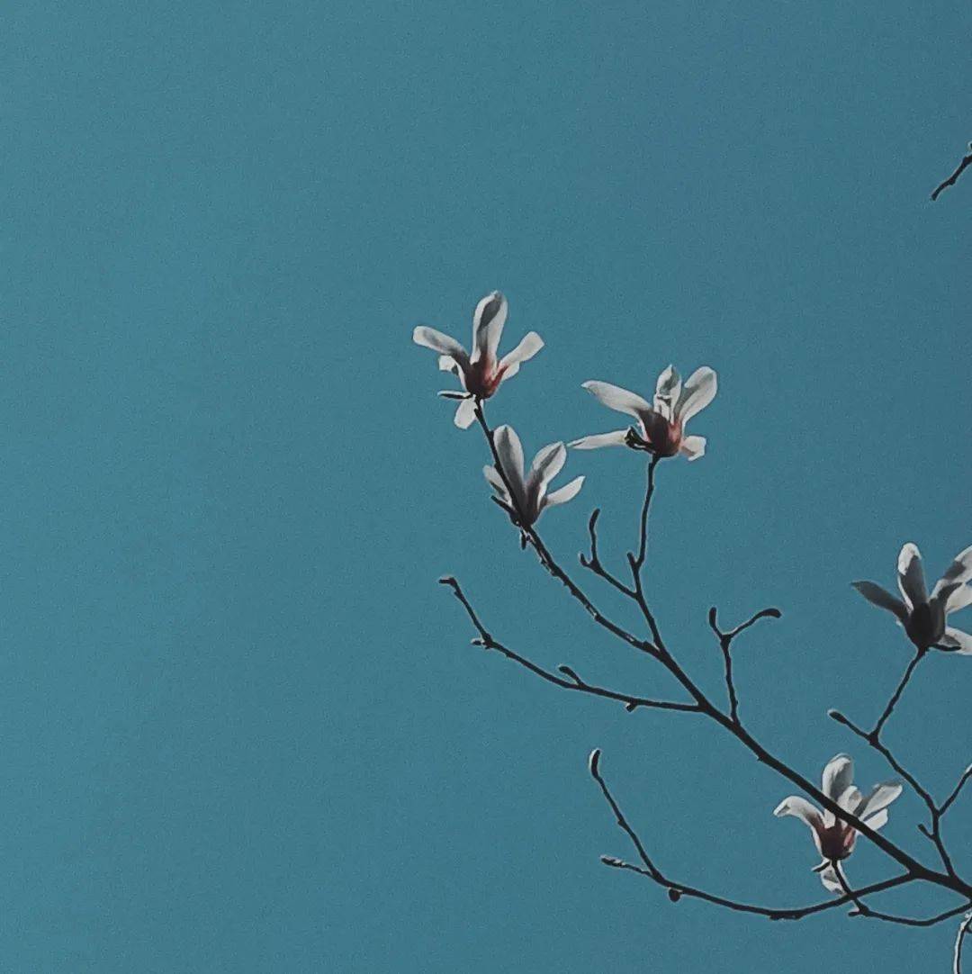 ���ʴ��������ļ���С�£��������