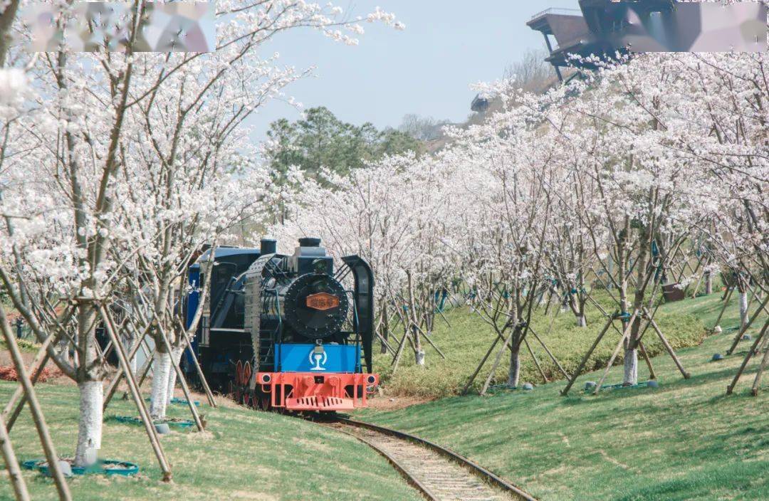 限售5天！春季周末限量不加价！奢享一房一壶汤，矿谷岩壁实温泉~