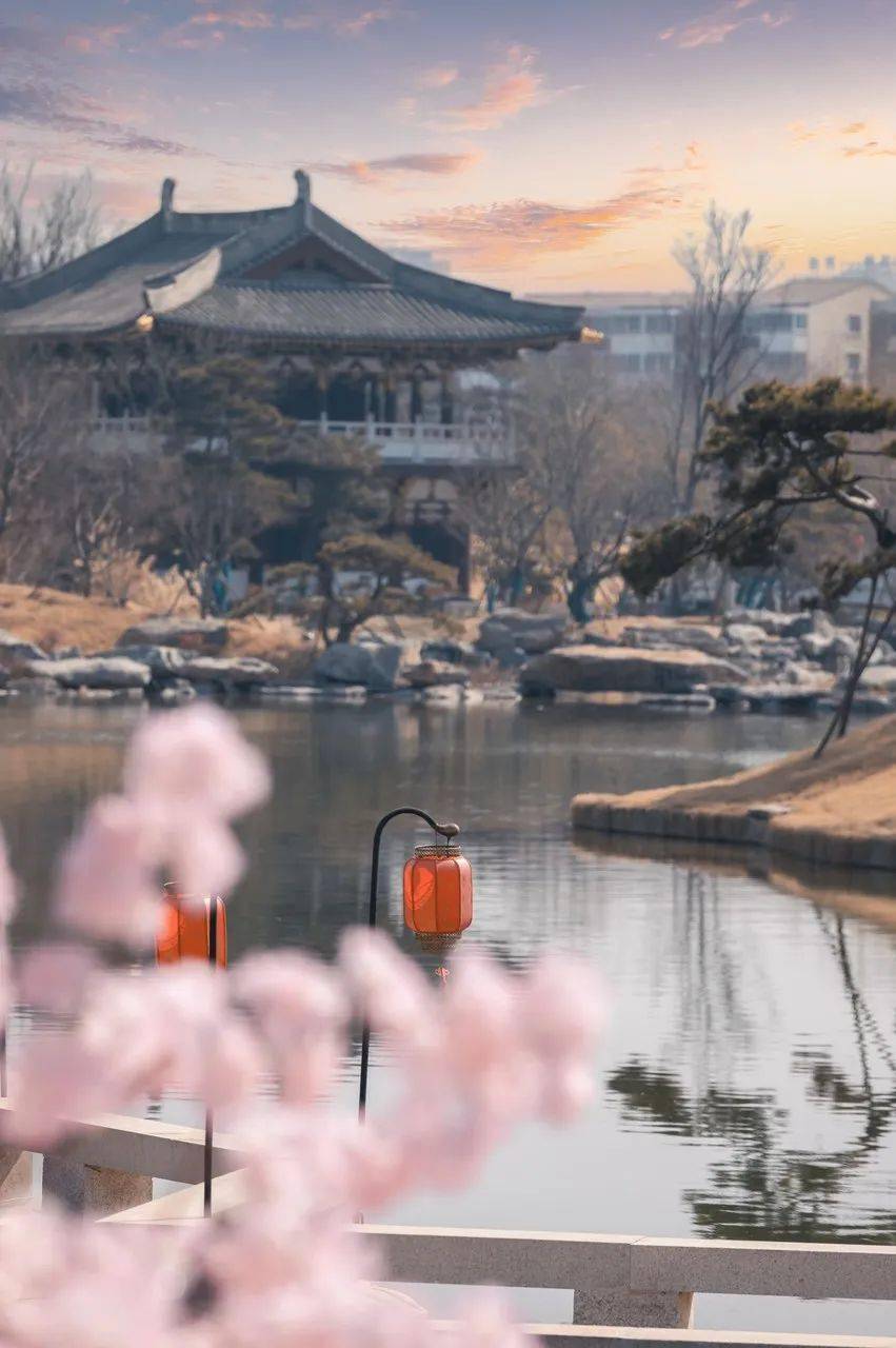 �й���һ�Ʋ���5A������Ƿծ4���ڣ���Ʊ���Ǽۣ���Ȫˮֻ ...