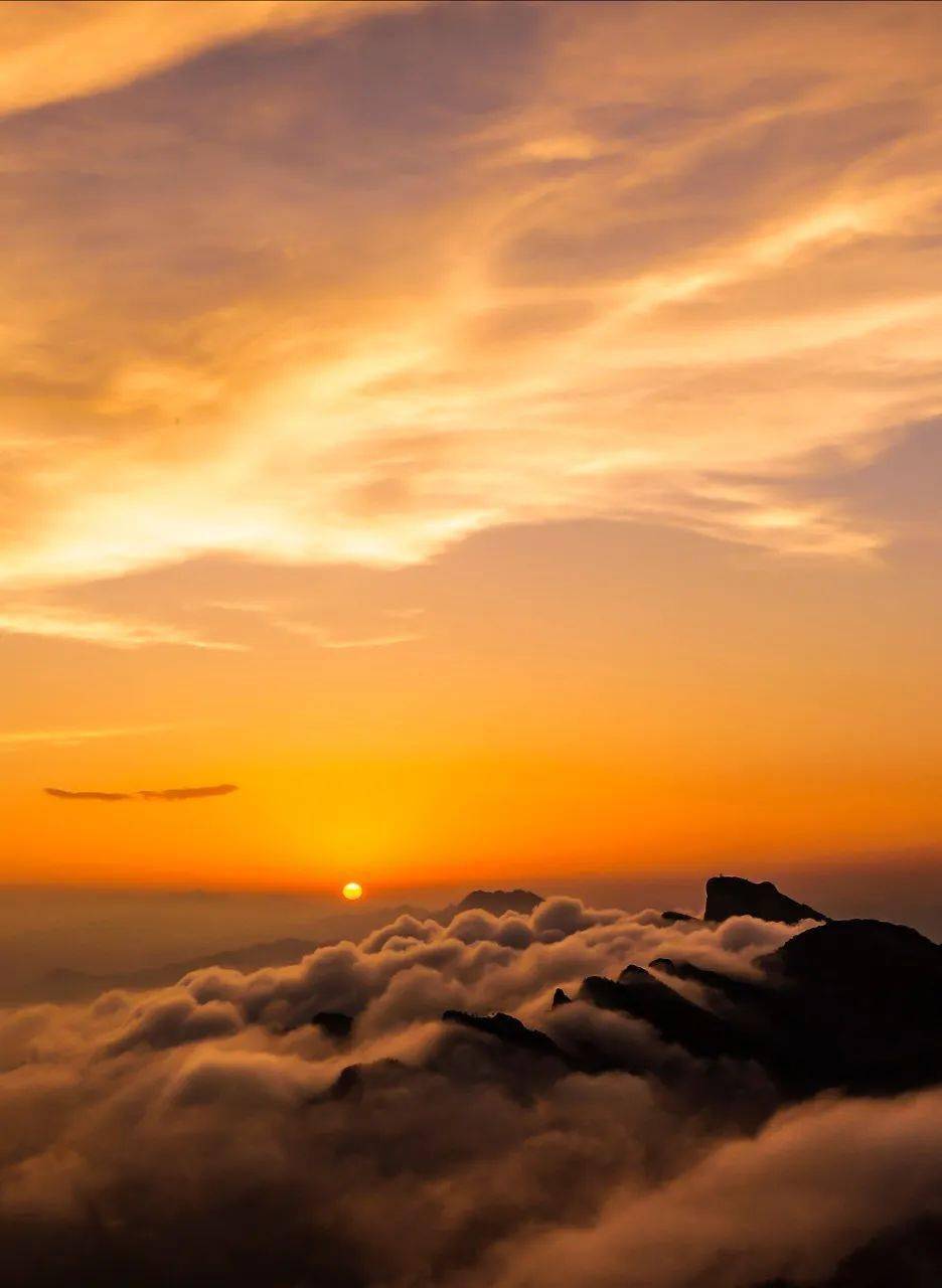 �й���һ�Ʋ���5A������Ƿծ4���ڣ���Ʊ���Ǽۣ���Ȫˮֻ ...