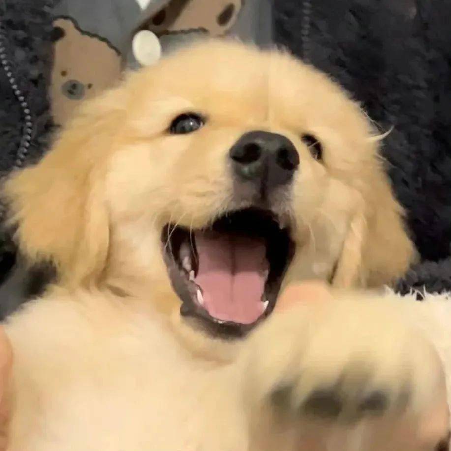 ���ë����Ϊʲôϲ������㣿