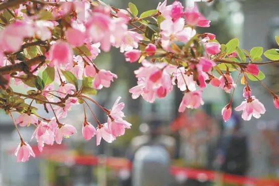 ���չ��ԣ�ʲô����˵TA ���һ����ۣ�