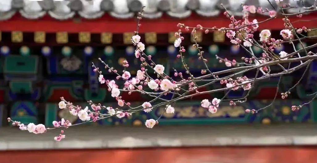 ���չ��ԣ�ʲô����˵TA ���һ����ۣ�