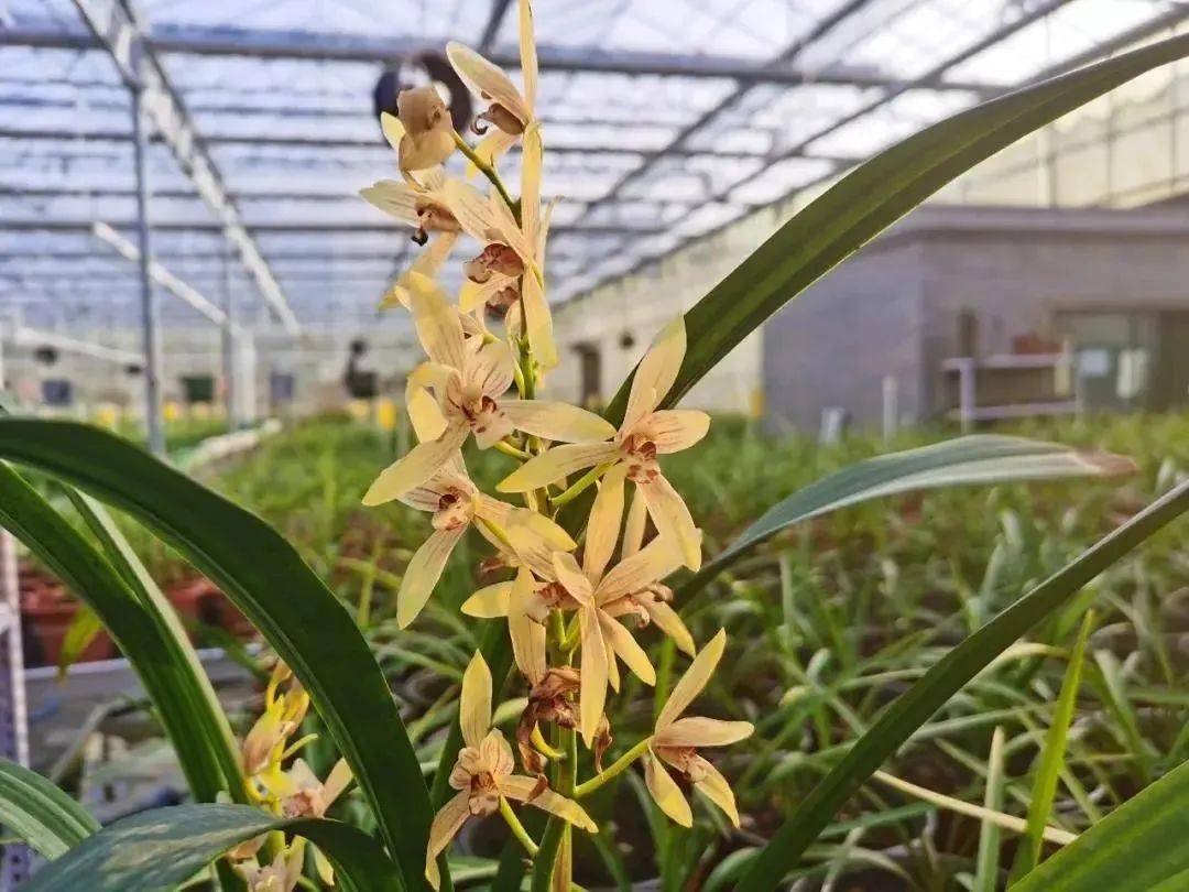 һ������ ��Ʒʱ�⣡�������Լ�ڡ�����͡����