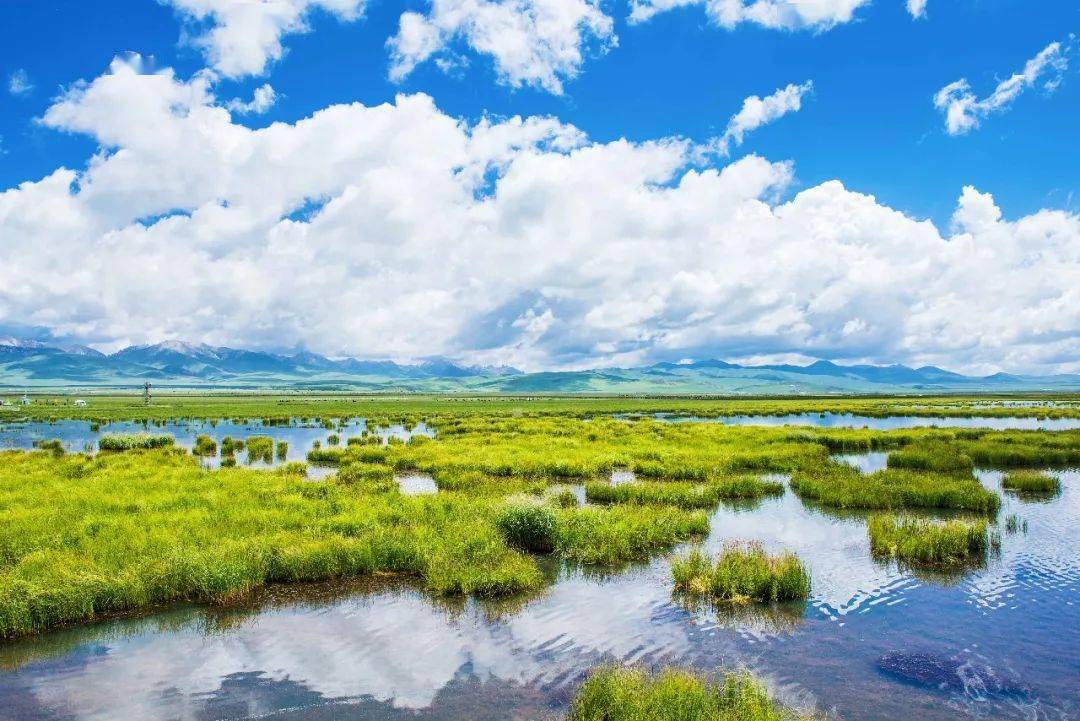 【活动招募】6月3日-6月9日 梦幻九色甘南7天小寡深度游（志远带队，免费旅拍）