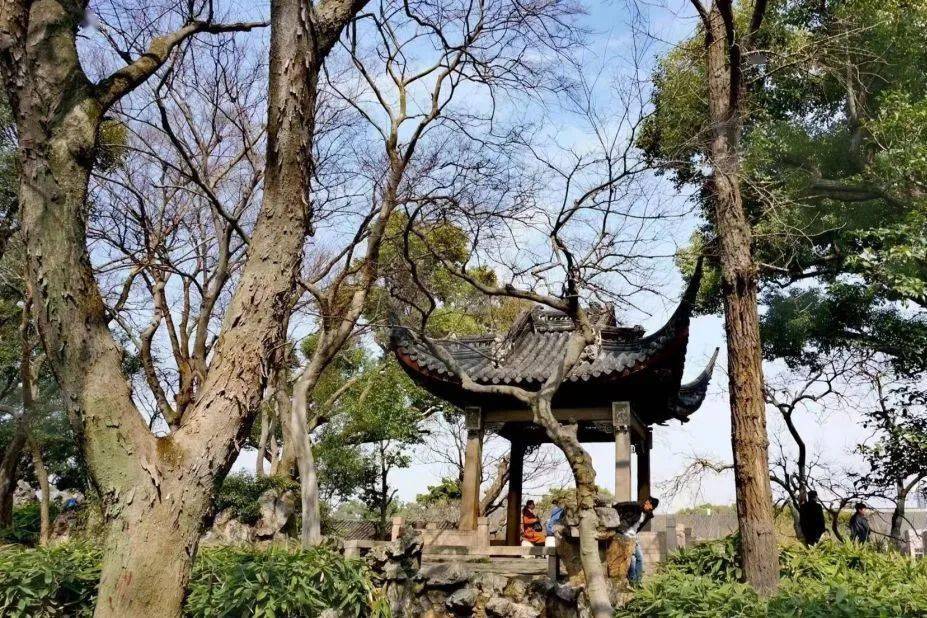 �γ���ʷ�ż����������ͣ���Ѱ��֮�õ�һ�����