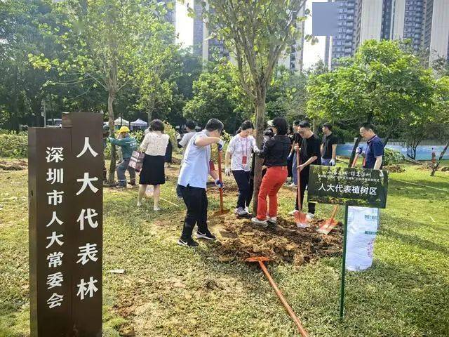 完美电竞深圳计划五年增种各类树木100万株以上(图3)