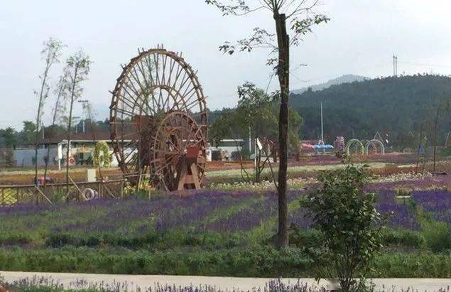 开云体育 开云平台【休闲农业专题】2023年全国休闲农业重点县申报工作启动！借鉴10种流行的规划模式(图5)