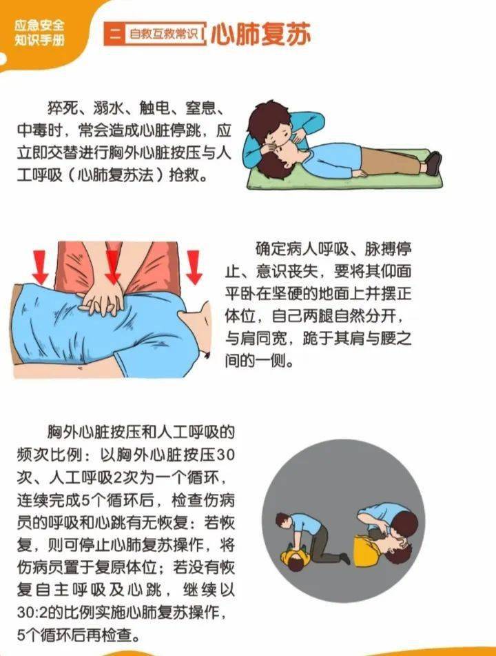 时应该如何抢救？▼交替进行胸外心脏按压与人工呼吸（心肺复苏法）抢救